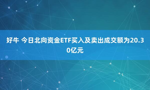 好牛 今日北向资金ETF买入及卖出成交额为20.30亿元