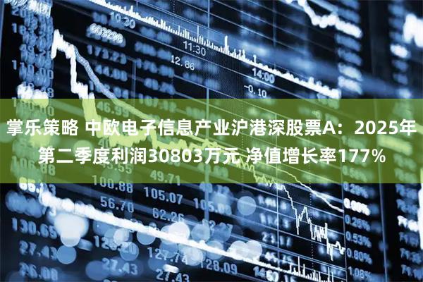 掌乐策略 中欧电子信息产业沪港深股票A：2025年第二季度利润30803万元 净值增长率177%