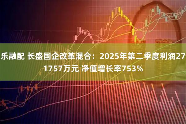 乐融配 长盛国企改革混合：2025年第二季度利润271757万元 净值增长率753%